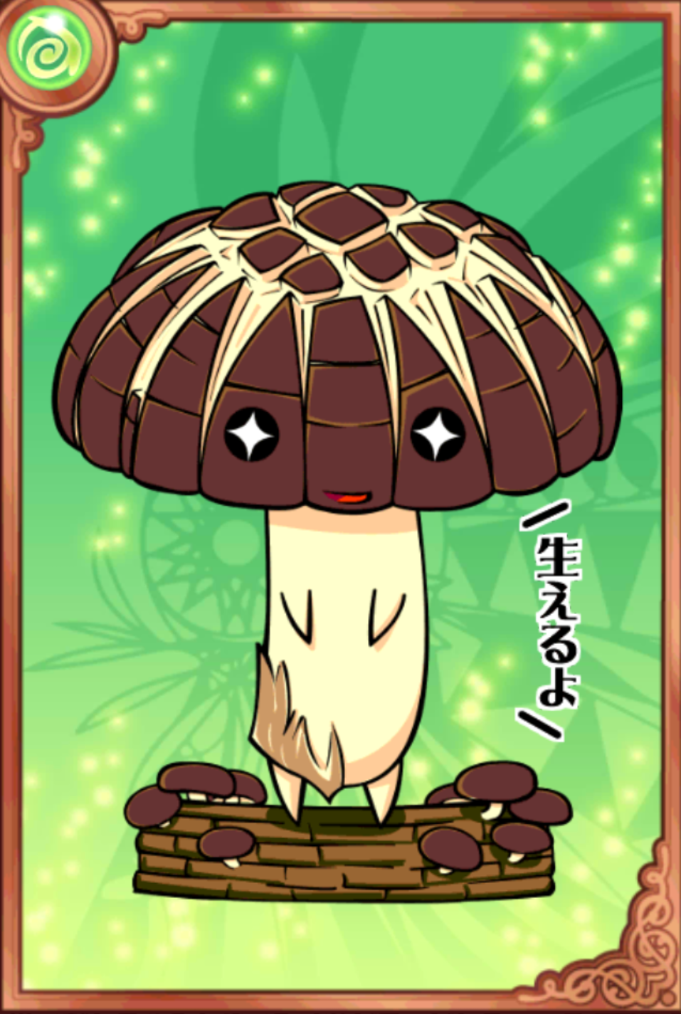 どんこ次郎 どんこ次郎